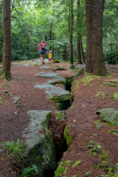 Top of Bilgers Rocks in Grampian PA