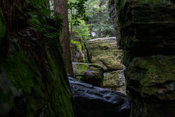 Looking through a narrow chasm at BIlger's Rock in Clearfield County PA