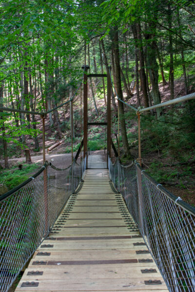 The swinging bridge in Cook Forest State Park in Clarion County PA