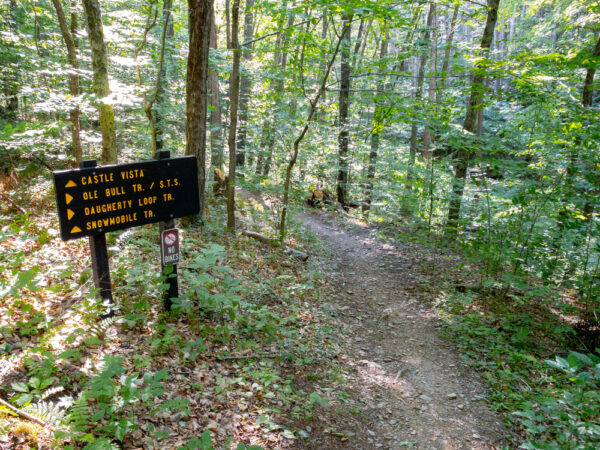 Trailhead for the Daugherty Loop Trail in Ole Bull State Park