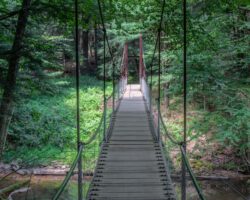 How to Get to the Swinging Bridge in Cook Forest State Park