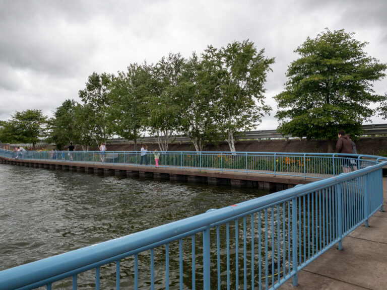 Where the Ducks Walk on the Fish Visiting the Unique Linesville