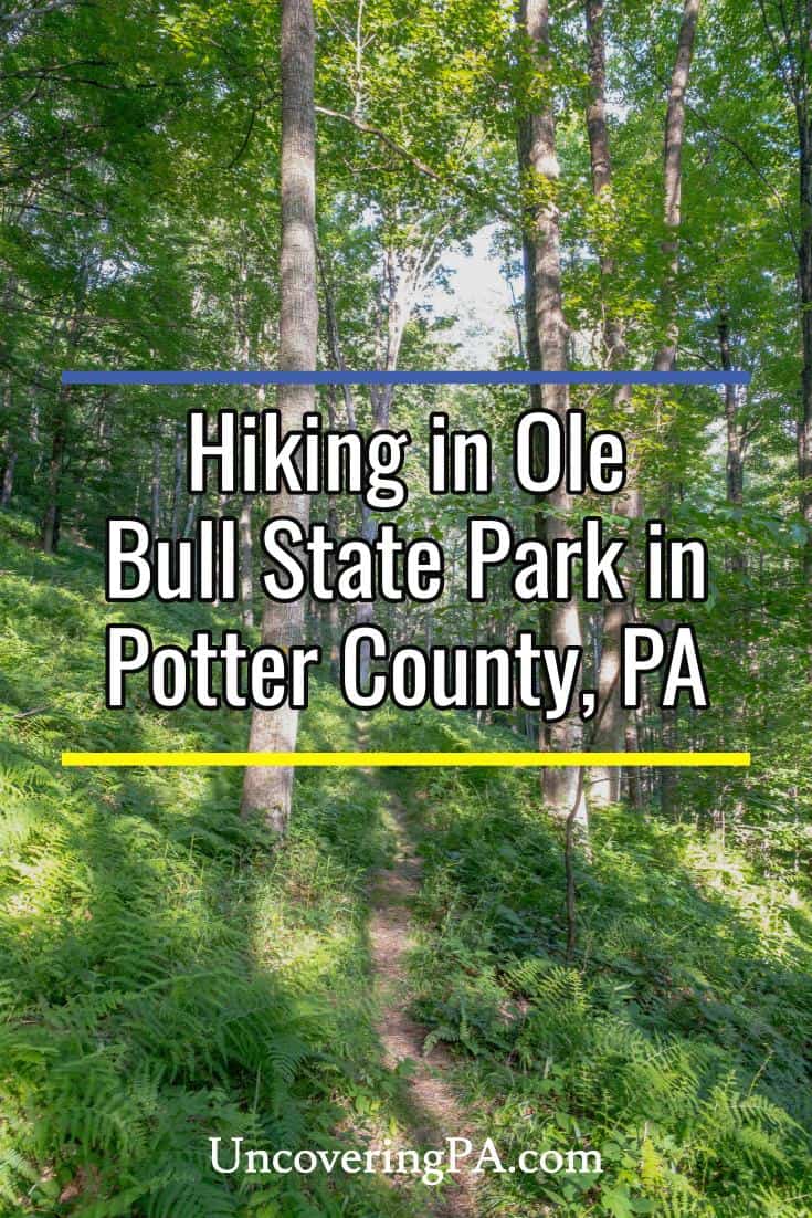 Hiking in Ole Bull State Park in Potter County, PA - Uncovering PA