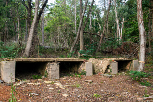 Ruines en béton du camp de prisonniers de guerre abandonné de Camp Michaux