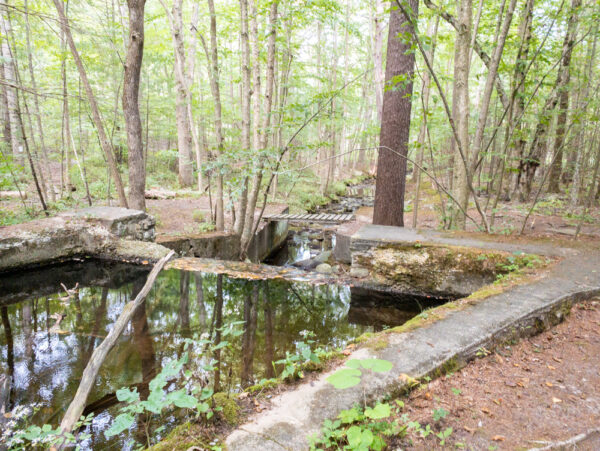 Ruins of a dam built by German POWs in PA in 1945.