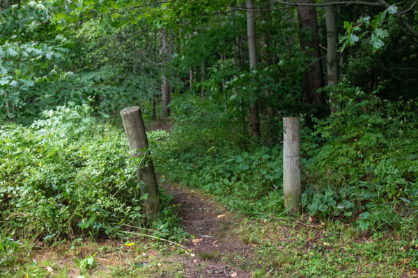 Trailhead for the Falling Run Nature Trail in Goddard State Park in Pennsylvania