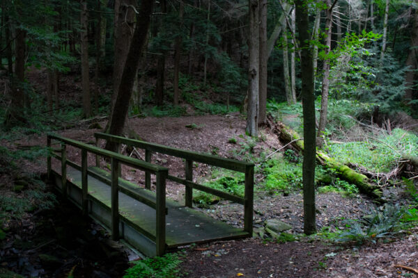 Bridge on the Falling Run Nature Trail in Maurice K Goddard State Park