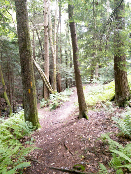 Falling Run Trail in Mercer County Pennsylvania