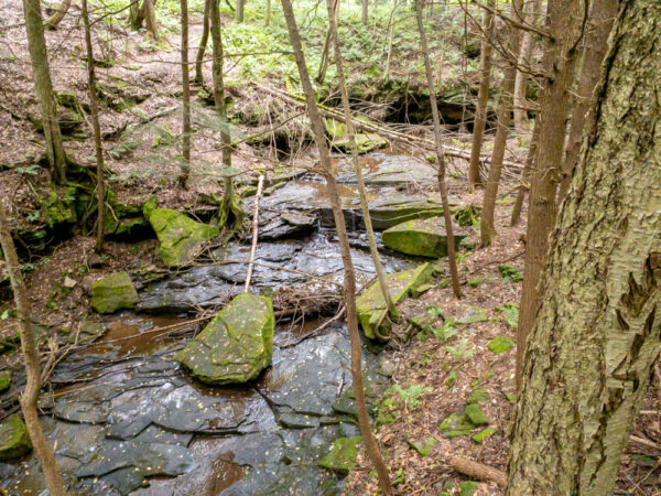 Falling Run in Goddard State Park in Mercer County PA