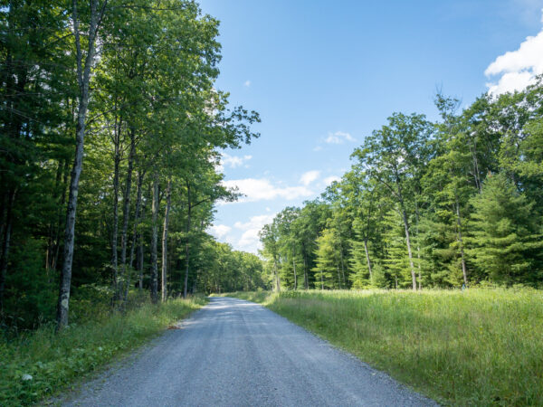 Lebo Road in Lycoming County Pennsylvania