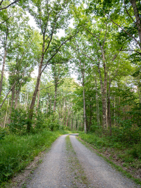 Lebo Vista Road in Lycoming County PA