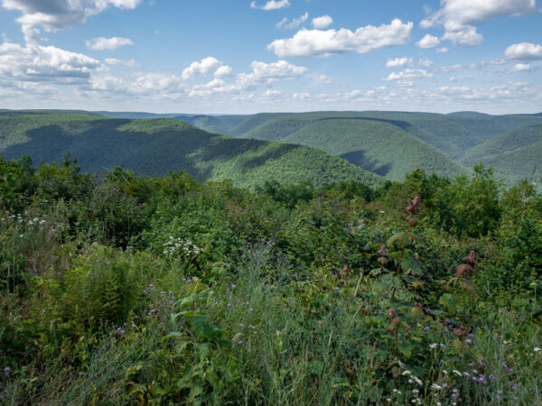 PA Grand Canyon from Lebo Vista in Lycoming County