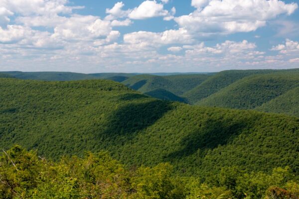 Lebo Vista in Lycoming County, PA