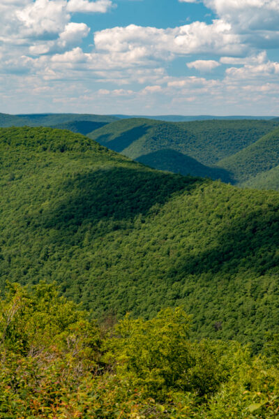 PA Grand Canyon from Lebo Vista in Pennsylvania