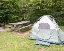 Camping in Ole Bull State Park: Everything You Need to Know