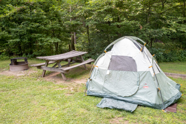 Tent camping at Ole Bull State Park in Potter County PA