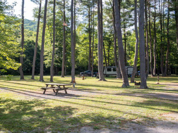 Campground at Ole Bull State Park in Potter County PA