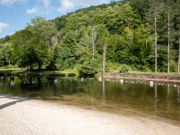 Beach at Ole Bull State Park in the Pennsylvania Wilds.