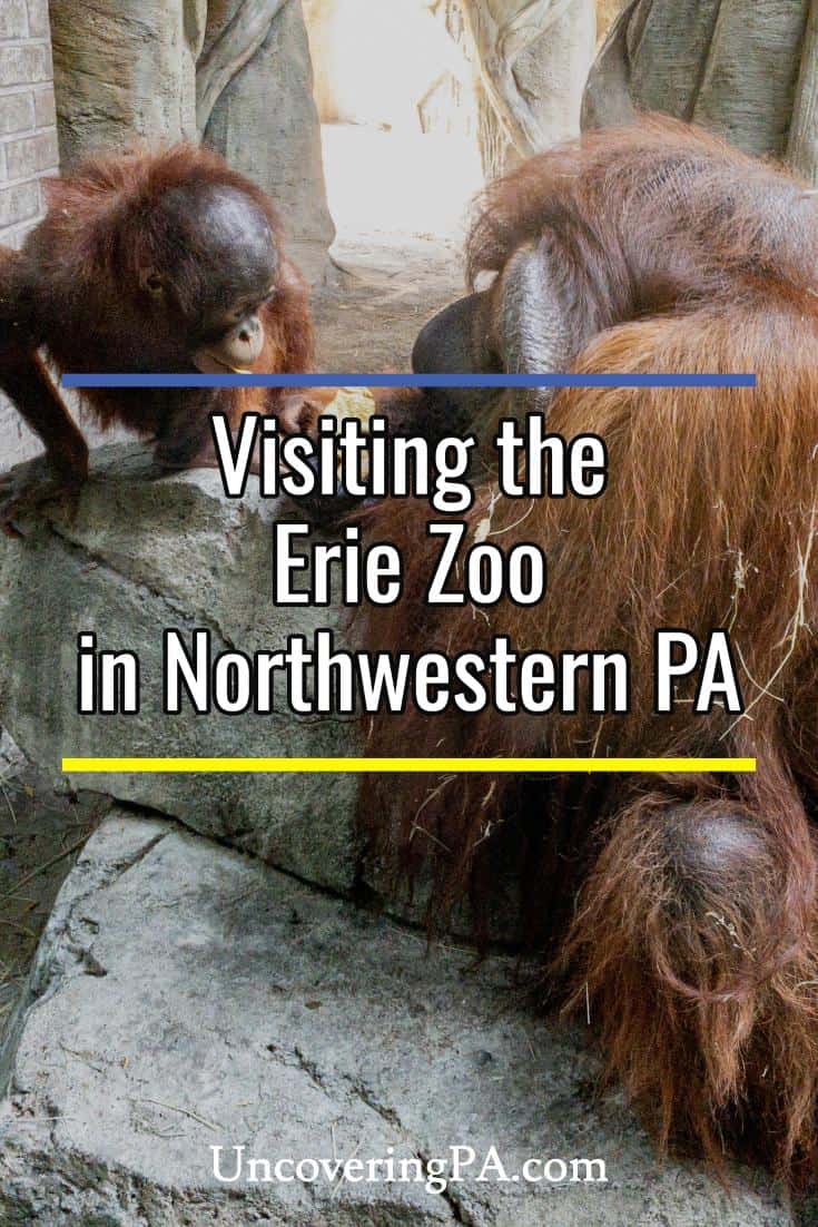 Exploring the Incredible Erie Zoo Uncovering PA