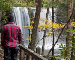 The 15 Best Things to Do in Ohiopyle State Park