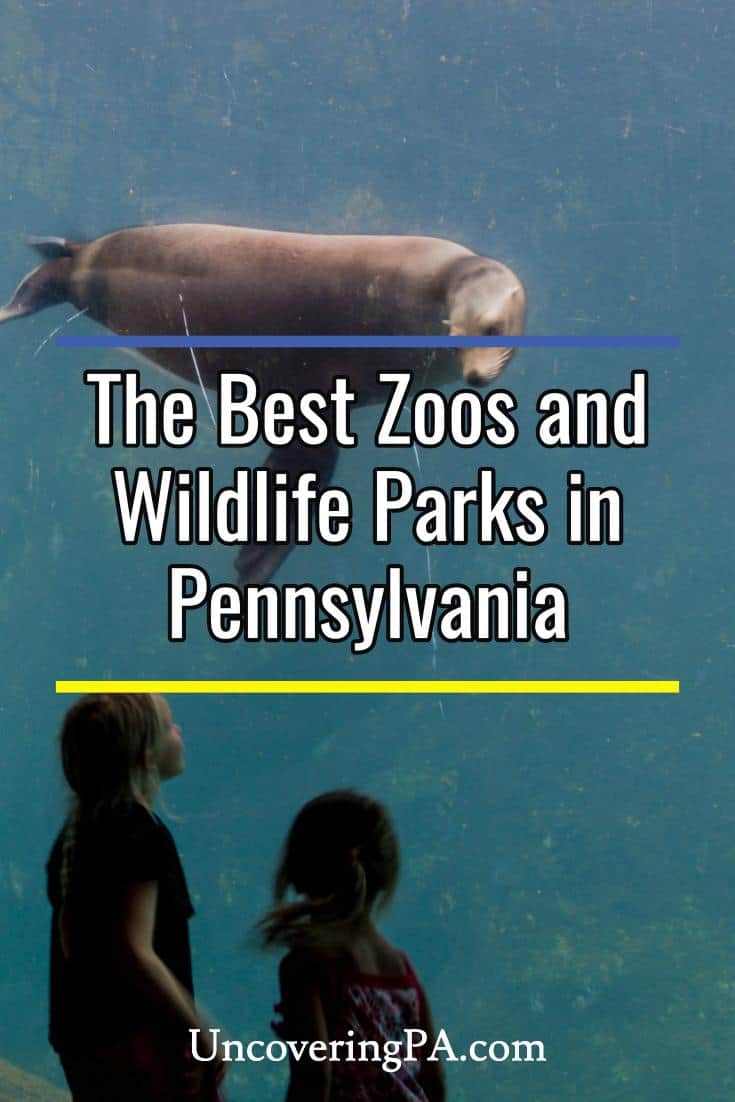 12 Fun Zoos in PA to Visit Uncovering PA