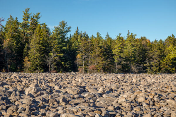 The Hickory Run Boulder Field in the Poconos