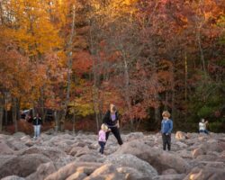 7 of the Best Things to Do in Hickory Run State Park