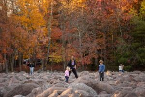 7 of the Best Things to Do in Hickory Run State Park