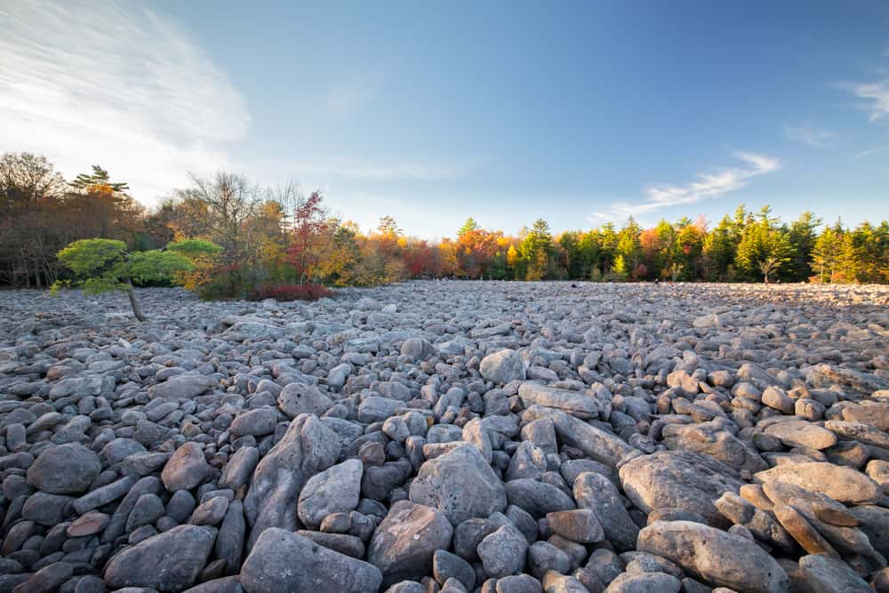 Boulder field in Hickory Run State Park in Pennsylvania