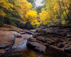 16 of the Most Beautiful Spots to See Fall Foliage in the Laurel Highlands