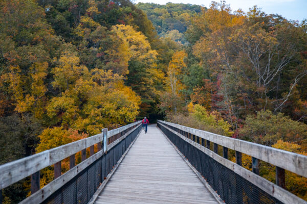 Man biking Great Allegheny Passage in the fall