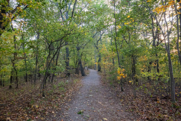 Trail to Hawn's Overlook in Huntingdon County Pennsylvania