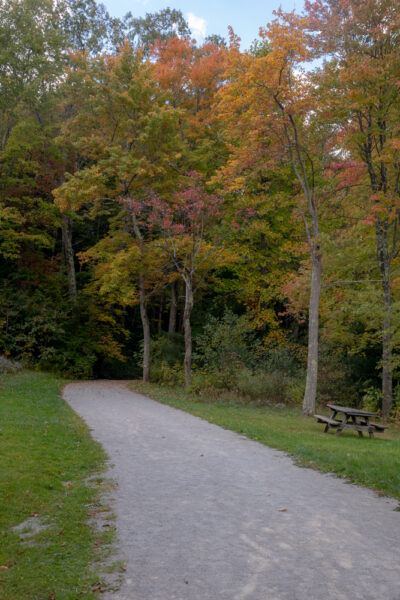 Trail in Keystone State Park in Westmoreland County Pennsylvania