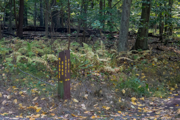 Trail marker in Nolde Forest near Reading Pennsylvania