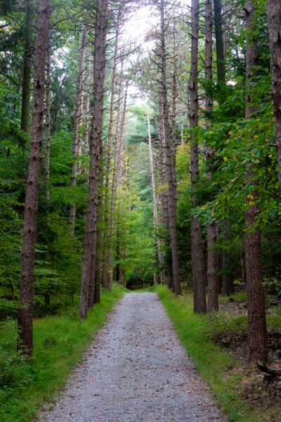 Hiking Middle Road in Nolde Forest in Berks County PA