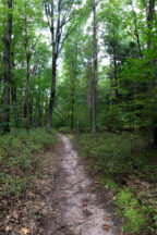 Hiking the Beautiful Trails at Nolde Forest Environmental Education ...