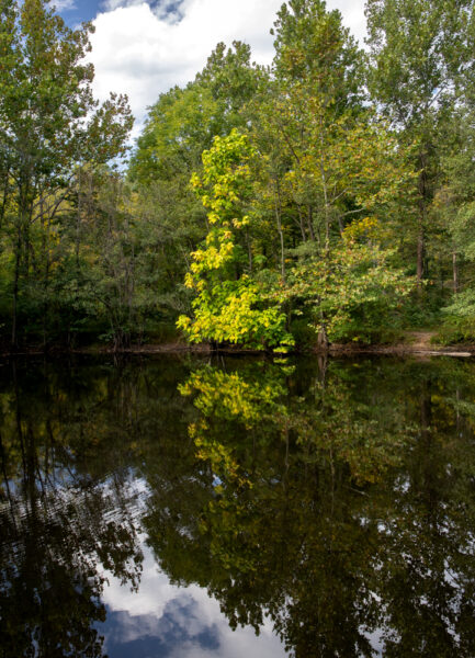 Pond at Nolde Forest Environmental Education Center in Berks County PA