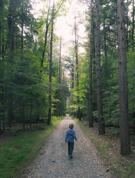 Hiking along the Middle Road Trail in Nolde Forest in Reading PA