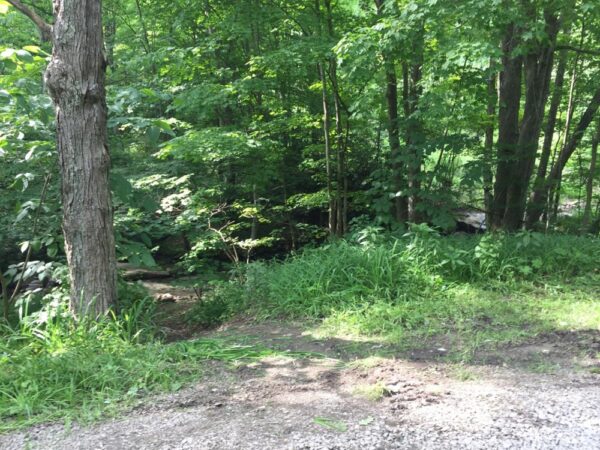 Trail to Stewarton Falls in Mill Run PA