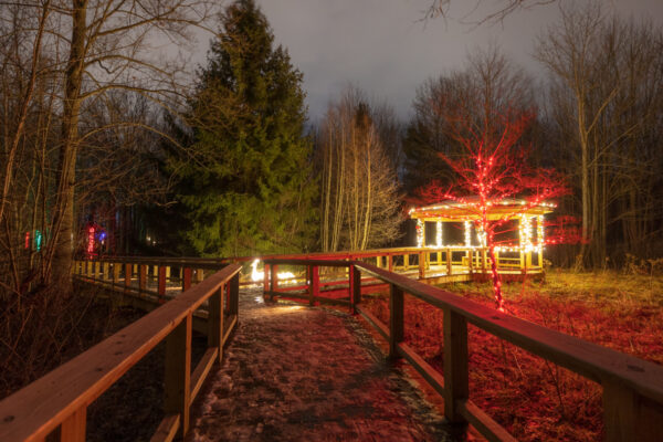 Lit gazebo and boardwalk at Asbury Wood's Winter Wonderland in Erie PA