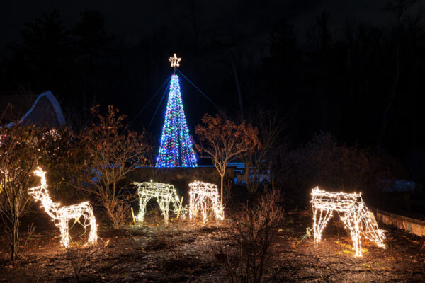 Lit tree and deer at Winter Wonderland at Asbury Woods in Erie Pennsylvania