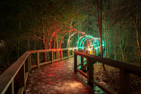 Light tunnel along the Boardwalk Trail at Asbury Woods in Erie Pennsylvania