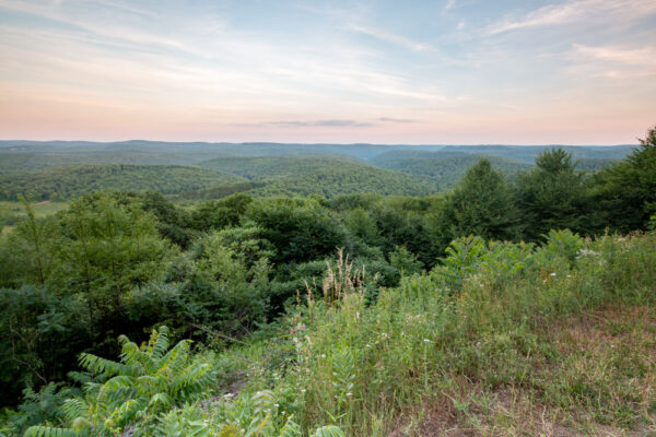 The view from Boone Run Vista in Potter County PA