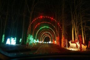drive through christmas lights