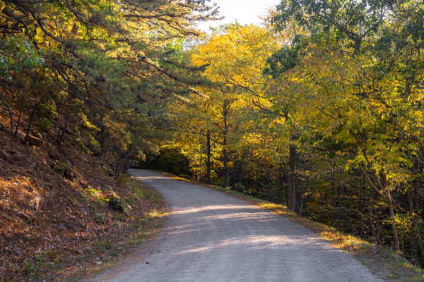 Colerain Road through Rothrock State Forest in PA