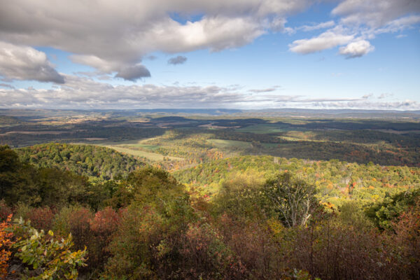 Colerain Road Overlook in Rothrock State Forest