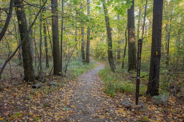 Yellow Arrow Trail in Huntingdon County Pennsylvania