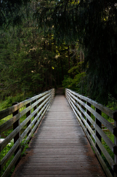 Bridge over Marilla Brook on the Marilla Bridges Trail near Bradford PA