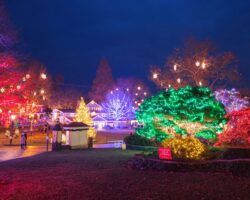Seeing the Magical Christmas Lights at Peddler’s Village in Bucks County