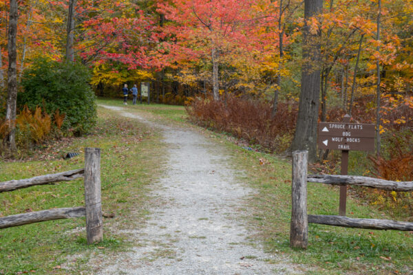 The trailhead for the Spruce Flats Bog Trail in Laurel Summit State Park in PA